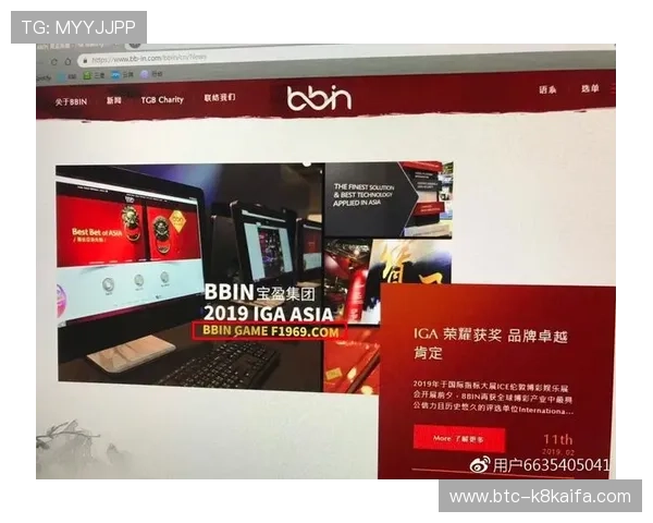 分析bbin直营旗下公司在客户服务与用户体验提升方面的具体措施