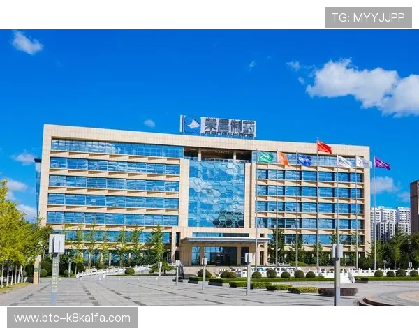 k8凯发集团官网优惠活动与福利政策全面解读助力玩家轻松获利 k8凯发集团官网优惠活动与福利政策全面解读助力玩家轻松获利