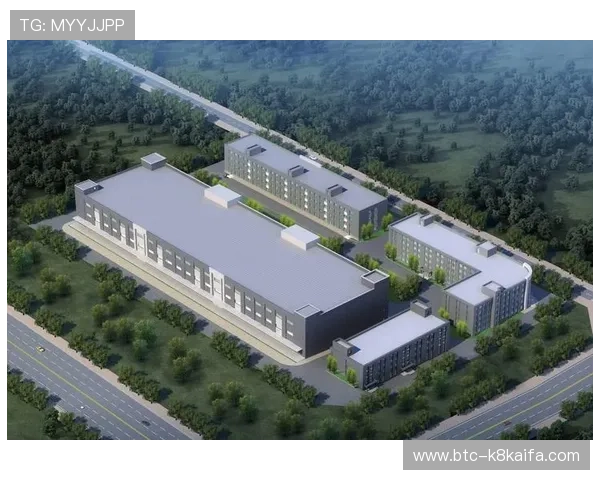 凯发首页下载用户数据分析报告显示，活跃度持续增长引领行业发展